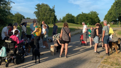 midzomerwandeling-2025